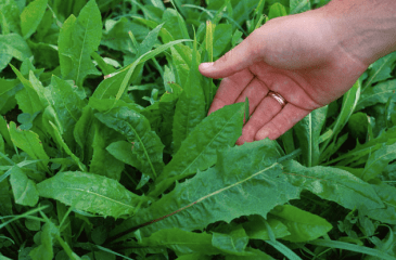 screen-shot-2017-03-03-at-11-53-17