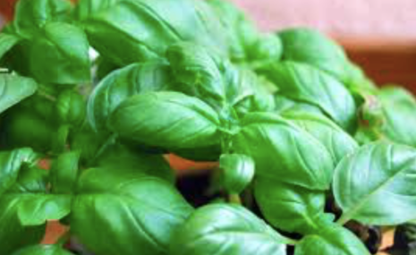 Screen Shot 2017-03-17 at 10.49.14