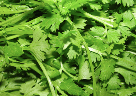 Screen Shot 2017-03-17 at 10.53.02